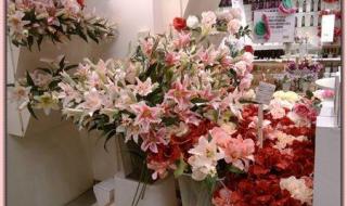 想开花店哪里学 想开花店哪里学