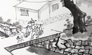 乡村素描阅读答案 乡村素描阅读答案