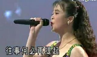 十二大美女闽南歌曲 十二大美女闽南歌曲