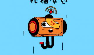 什么是雅思和托福