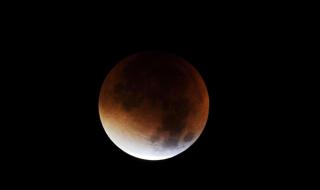 四星连珠的预兆 四星连珠的预兆