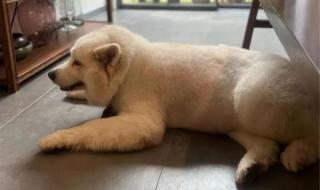 2024年1月新规来了