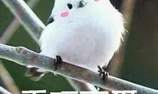 推荐好听的英文歌 推荐好听的英文歌