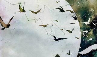 狂欢是一群人的孤单