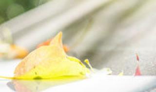 文字控女生头像 文字控女生头像