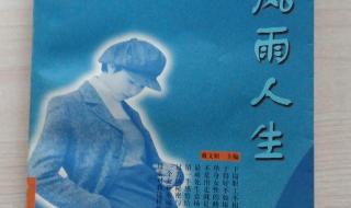 风雨人生路歌曲原唱