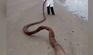 核辐射变异人真实样子 核辐射变异人真实样子