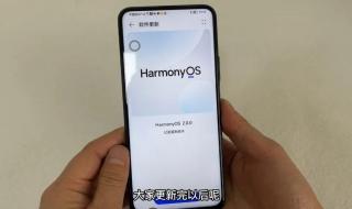怎么升级鸿蒙系统2.0 怎么升级鸿蒙系统2.0