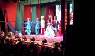 湖南益阳花鼓戏全集 湖南益阳花鼓戏全集